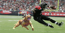 vick1